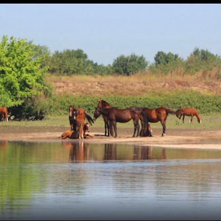 Valada River Sun מראה חיצוני תמונה
