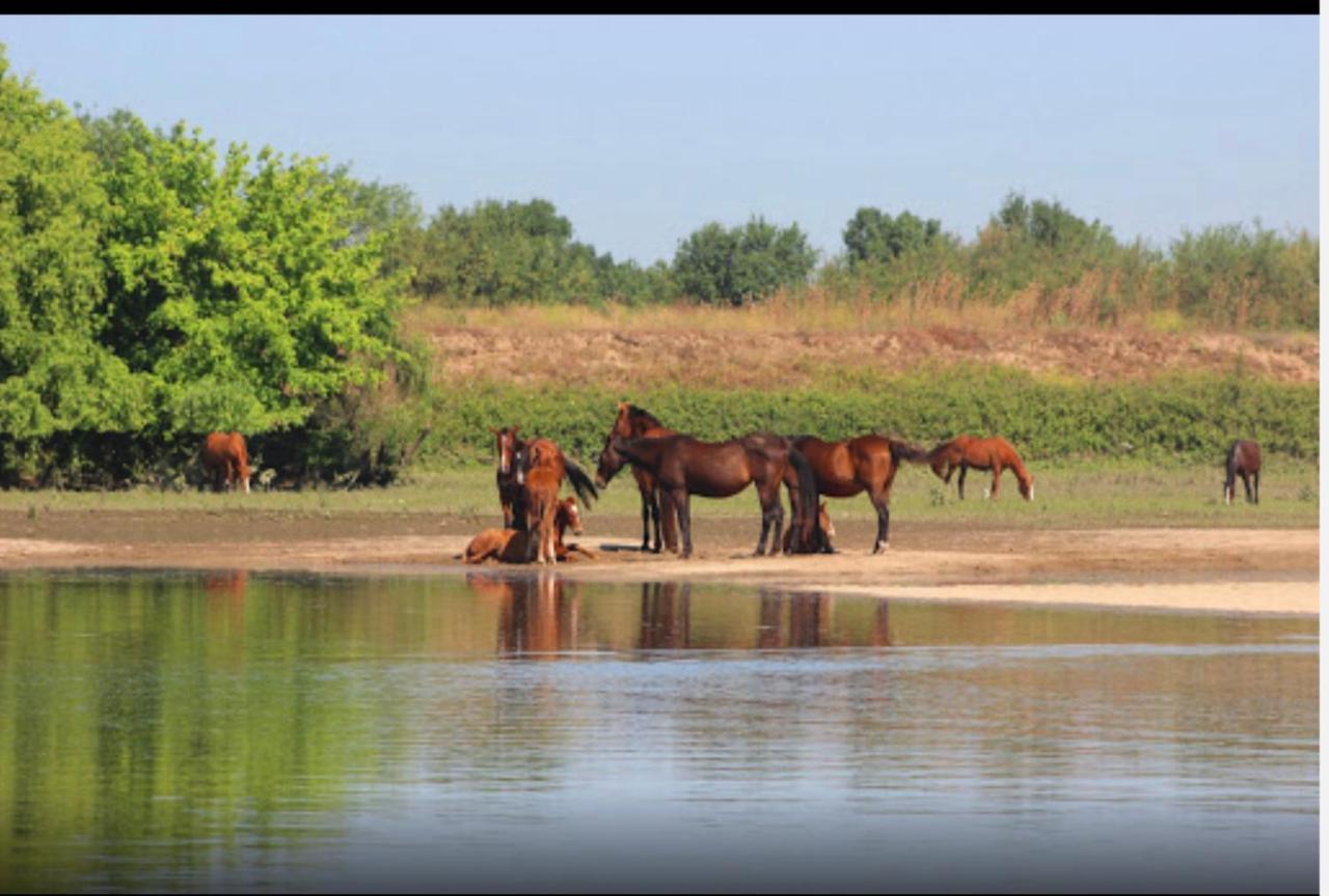 Valada River Sun מראה חיצוני תמונה